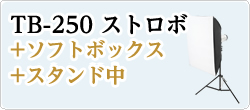 S-250+ソフトボックス+スタンド中