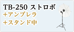 S-250+アンブレラ+スタンド中