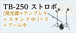 ［S-250+アンブレラ+スタンド中］×2
+ブーム中