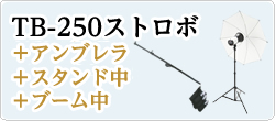 S-250+アンブレラ+スタンド中+ブーム中