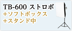 TB-600+ソフトボックス+スタンド大