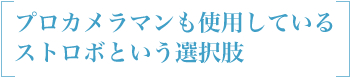 プロカメラマンも使用しているストロボという選択肢