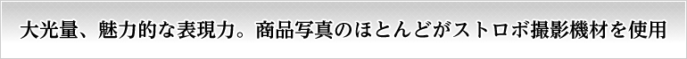 大光量、魅力的な表現力。商品写真のほとんどがストロボ撮影機材を使用