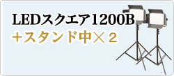 LED1200B発光部+スタンド中☓2