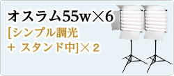 オスラム55w☓6[シンプル調光+ スタンド中]☓2　