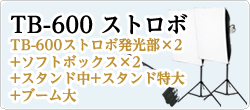 ［TB-600+ソフトボックス+スタンド特大］×2
+ブーム大