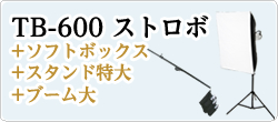 TB-600+ソフトボックス+スタンド特大+ブーム大